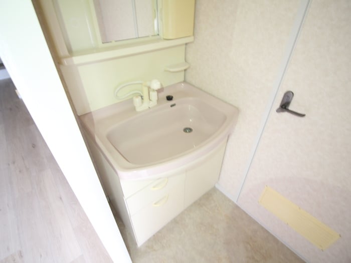 洗面 アネックス武庫之荘