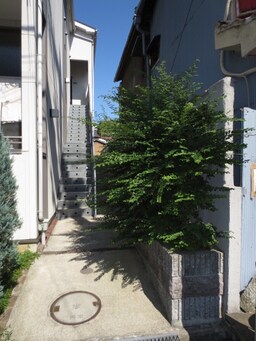 エントランス部分