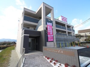 Bonnard Diacort　新浜