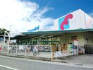 万代尼崎食満店(スーパー)まで980m ファミールハイツ