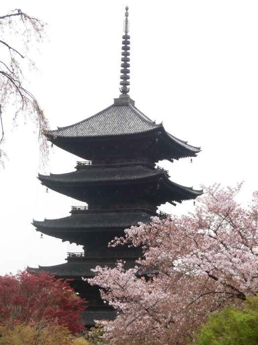 東寺(公園)まで550m メゾンセザンヌ