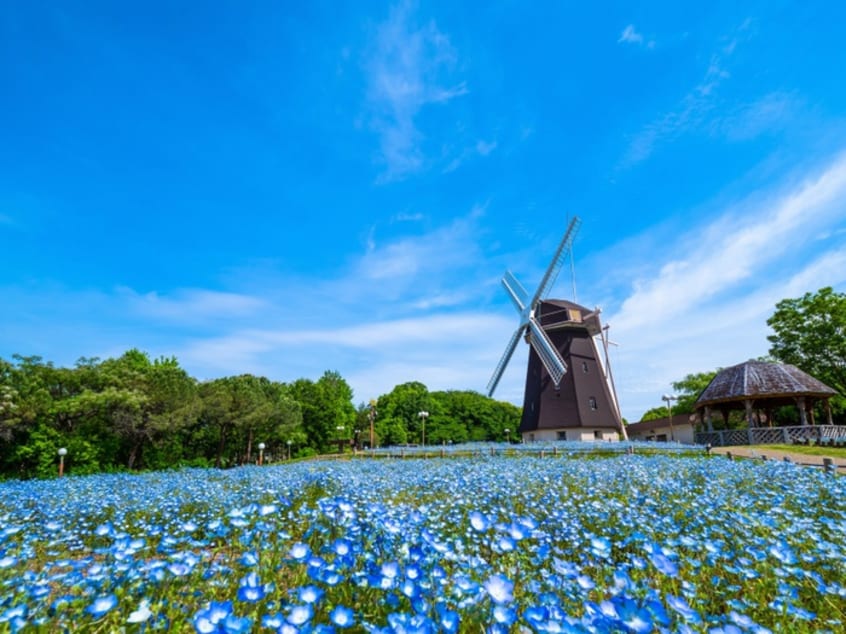 花博記念公園鶴見緑地(公園)まで1500m フローラⅡ