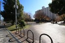 茨田大宮中央公園(公園)まで260m フローラⅡ