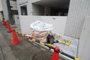 外観写真 セオリー神戸ラメール(801)