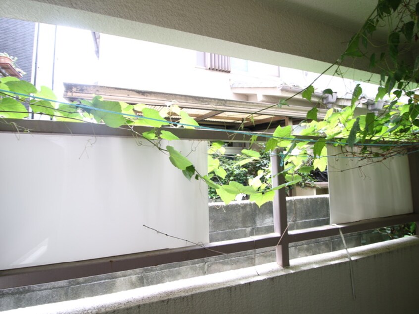 室内からの展望 カーサ空港