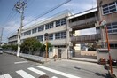 北宮小学校(小学校)まで480m ジェルメコリ－ヌⅡ