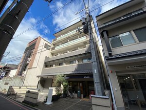 クリサンセマム