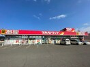 ツルハドラッグ菩提寺店(ドラッグストア)まで800m リストワール甲西