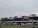 ニトリモール(ショッピングセンター/アウトレットモール)まで149m メゾンフルブレス