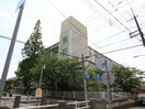 御影小学校(小学校)まで95m ライフ石町