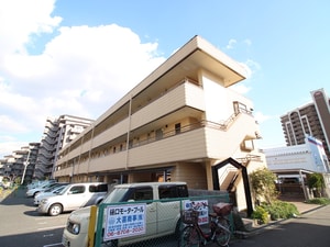 セファミ平野