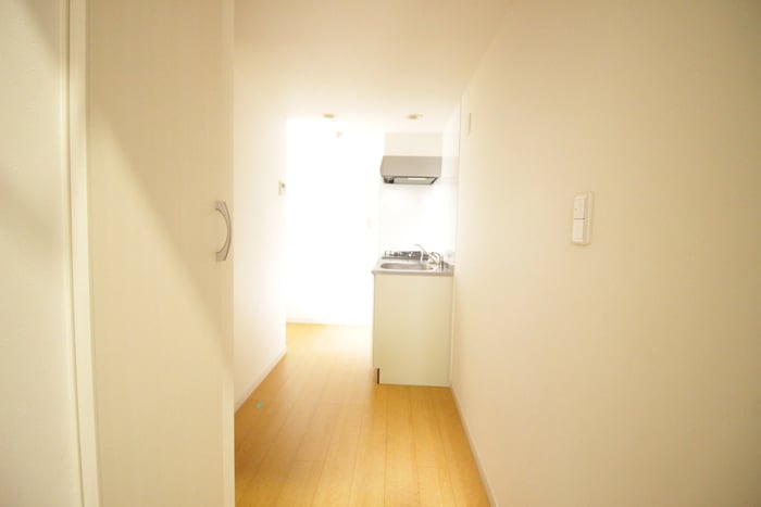 玄関 パロアルトⅡ