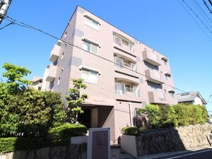グレースマヤ