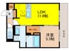 仮）D-residence中川町 1LDKの間取り