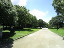 大仙公園(公園)まで820m アヴェ－リア