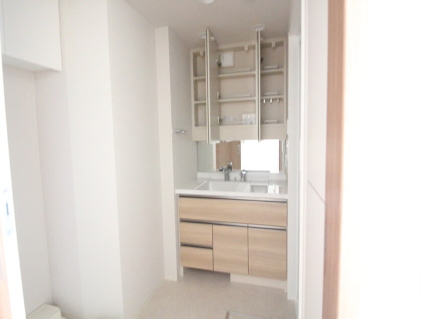 洗面 ﾛｰﾚﾙｽｸｴｱ健都ｻﾞ･ﾃﾗｽ（512）