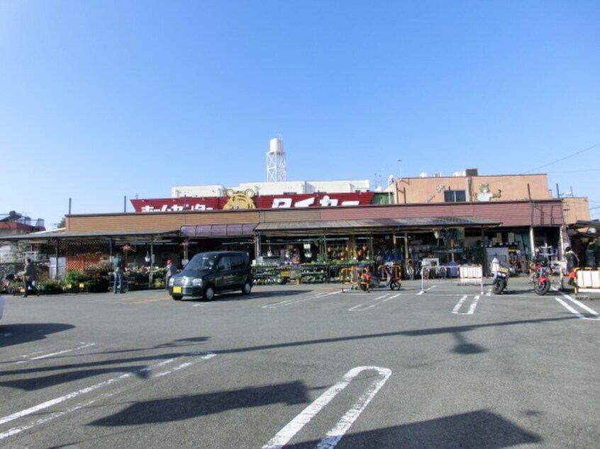 ホームセンタータイセー(電気量販店/ホームセンター)まで220m ハルカパレス