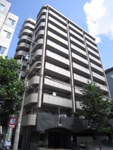 ロックフィ－ルド