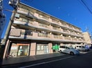 ポインセチアの外観