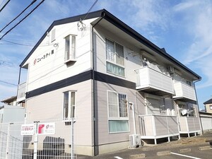ニューシティー雅