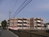 デイグランロイヤルメゾン