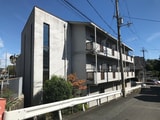 ｺ-ﾎﾟｻﾝⅡ