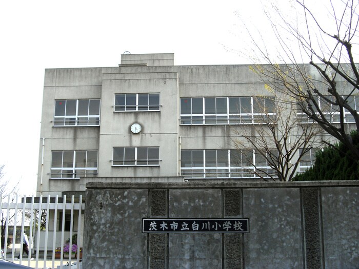 白川小学校(小学校)まで205m メゾン源