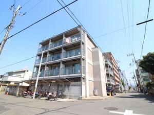 一乗寺松柏