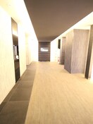 エントランス部分 ﾌﾟﾚｻﾝｽOSAKADOMECITYｸﾛｽﾃｨ(706)