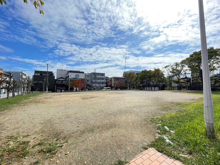 その他 セリバノーブル