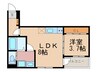 グランバレー 1LDKの間取り