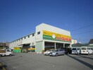 ジャパン(ディスカウントショップ)まで1200m D-room我孫子