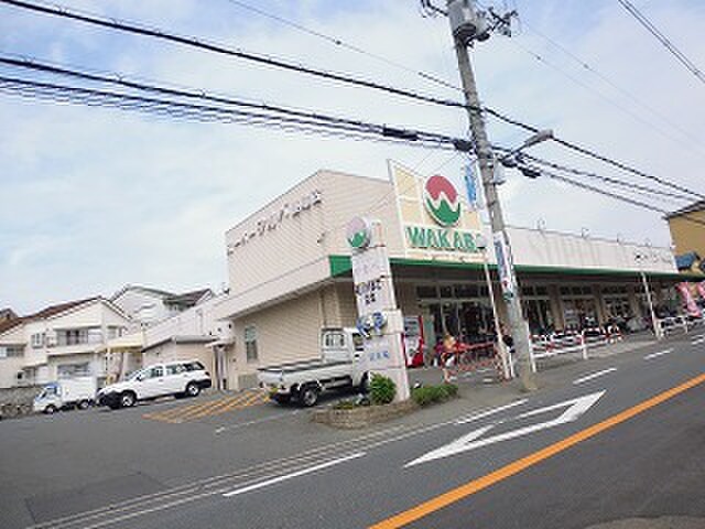 ワカバ(スーパー)まで227m ウィステリァ９８
