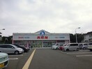 西松屋(ショッピングセンター/アウトレットモール)まで64m ウィステリァ９８