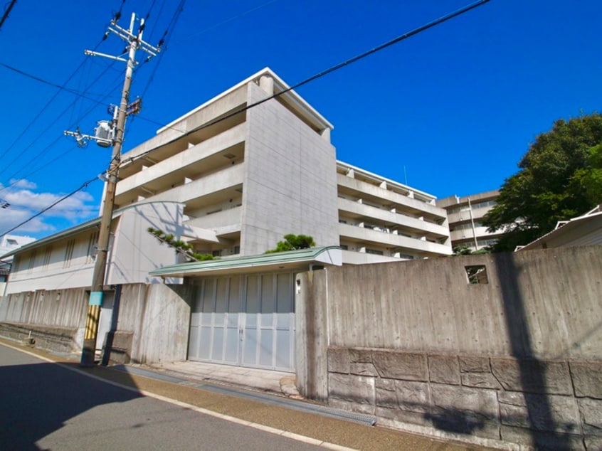 外観写真 ひよどり