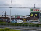 コノミヤ(スーパー)まで261m ラフォ－レ松ノ下