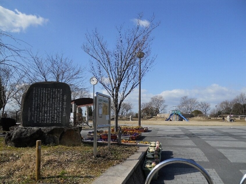 東石切公園(公園)まで610m ヒルサイドコ－プ岡村