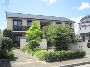 ディアス島泉