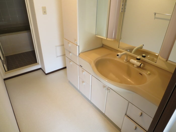 洗面 ロイヤル苦楽園