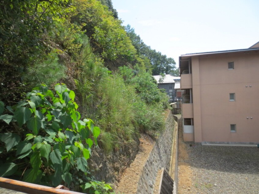 周辺環境 メゾンジョアＰａｒｔⅡ