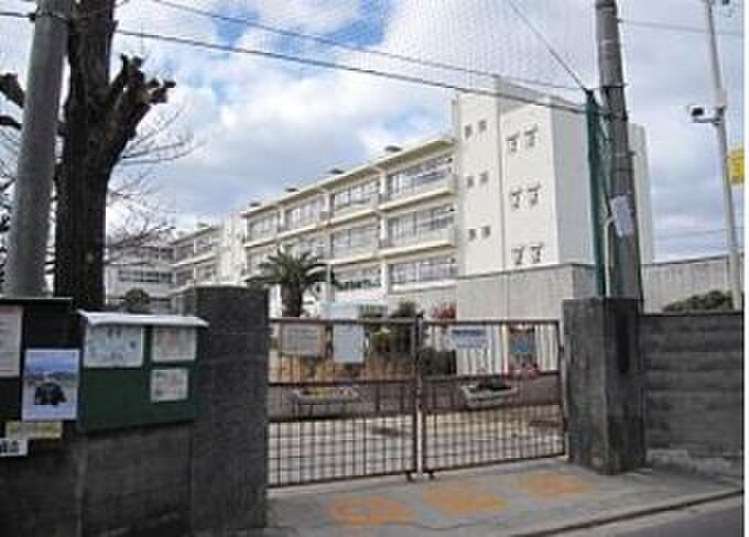 庭久保小学校(小学校)まで354m シャロン城北