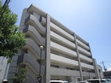 ル－セント菅原