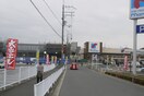 マンダイ南津の辺店(スーパー)まで600m アンビエンテ