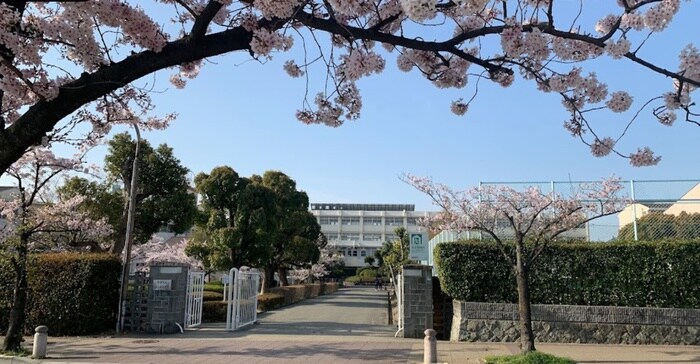 西宮高校(高等学校/高等専門学校)まで350m 上甲東園3丁目戸建