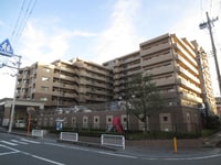 ﾗｲｵﾝｽﾞｶﾞｰﾃﾞﾝ枚方藤阪(801)