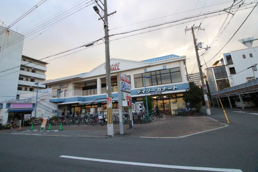 デイリーカナートイズミヤ西田辺店(スーパー)まで550m オムズコ－ト