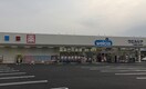 ウエルシア八尾東久宝寺店(ドラッグストア)まで385m 駅前つばきハイツ