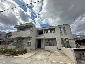 ｉｓｏｌｅｔｔａ