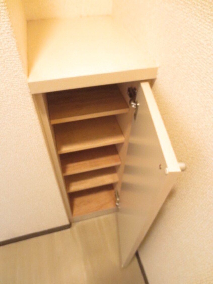 靴箱 ルビナス竹澤