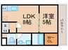 さくらハイツ 1LDKの間取り